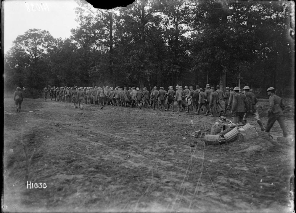 German prisoners from the Jaeger Regiment, escorted by New Zealand soldiers, walk past Havrincourt Wood, France. 16 September 1918.